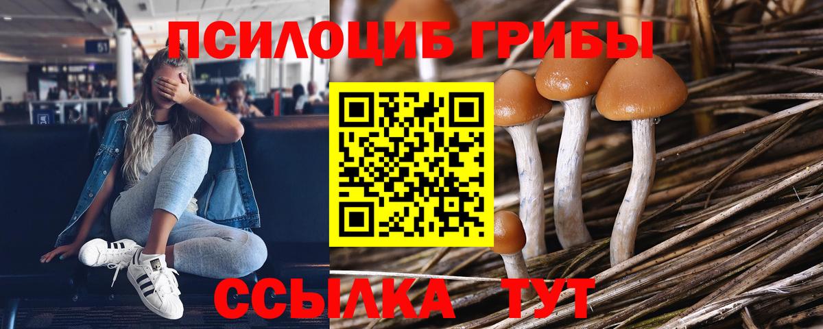 Псилоцибиновые грибы Psilocybe  Вход с VPN  Галлюциногенные грибы прущие грибы  Кимовск 